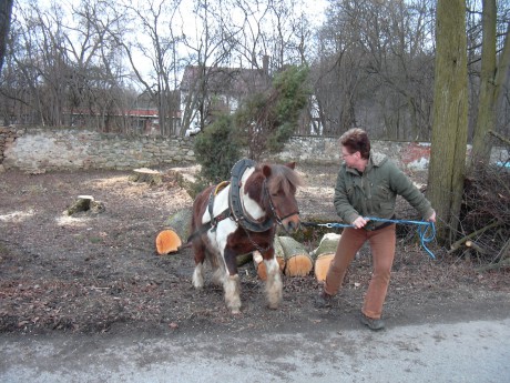 JarniUklid2011_05