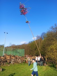 img_20230430_181627.jpg